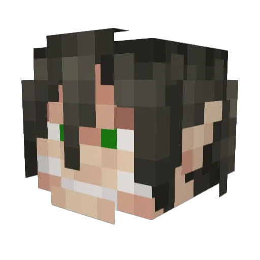 SpiderFreez667 Minecraft avatar head, 3D render