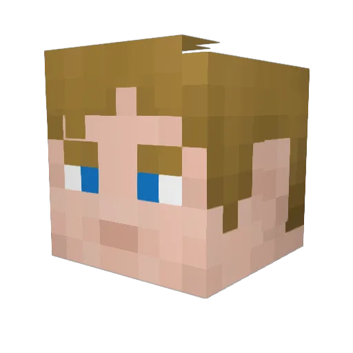 SpiderJam2014 Minecraft avatar head, 3D render