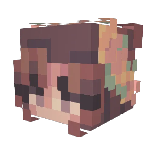 SpiderLex22 Minecraft avatar head, 3D render