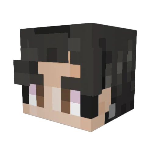 SpiderMares Minecraft avatar head, 3D render