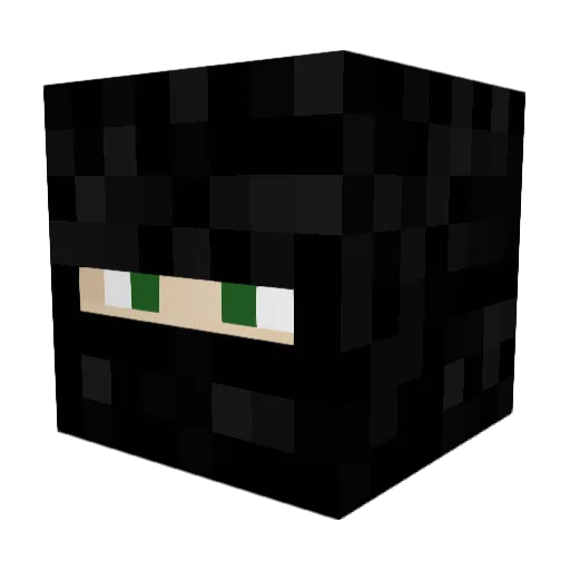 SpiderMonkey381 Minecraft avatar head, 3D render
