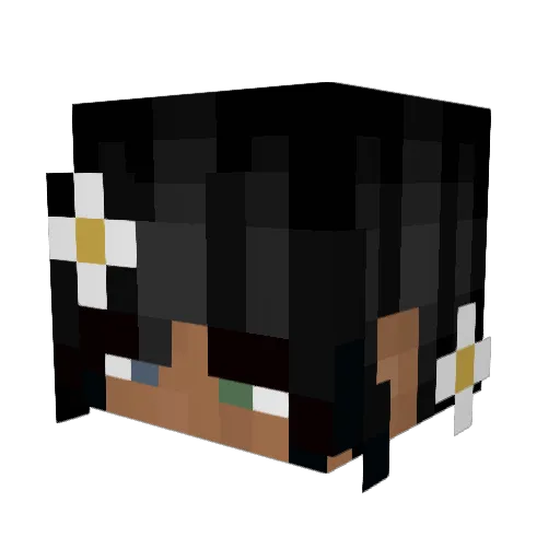SpiderNga Minecraft avatar head, 3D render