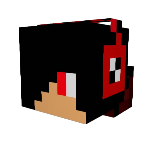SpiderNinja145 Minecraft avatar head, 3D render