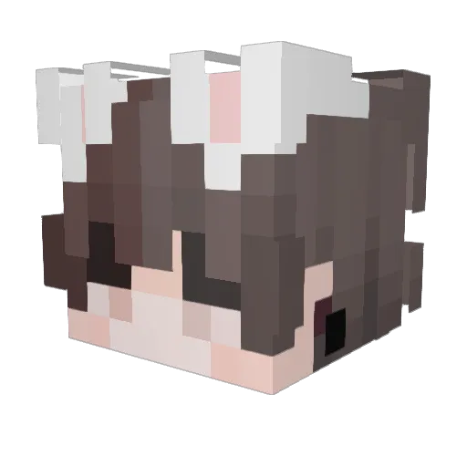 SpiderOzzy Minecraft avatar head, 3D render