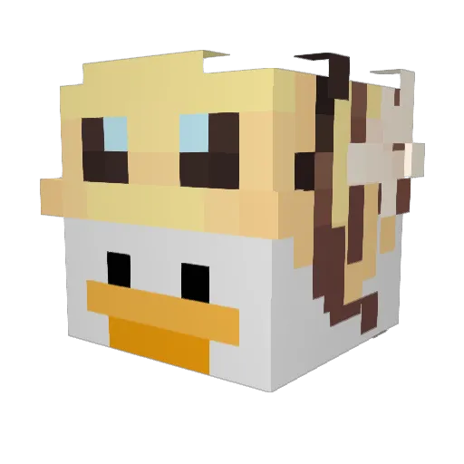 SpiderPig44 Minecraft avatar head, 3D render
