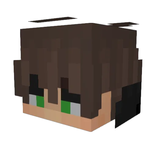 SpiderPig89 Minecraft avatar head, 3D render