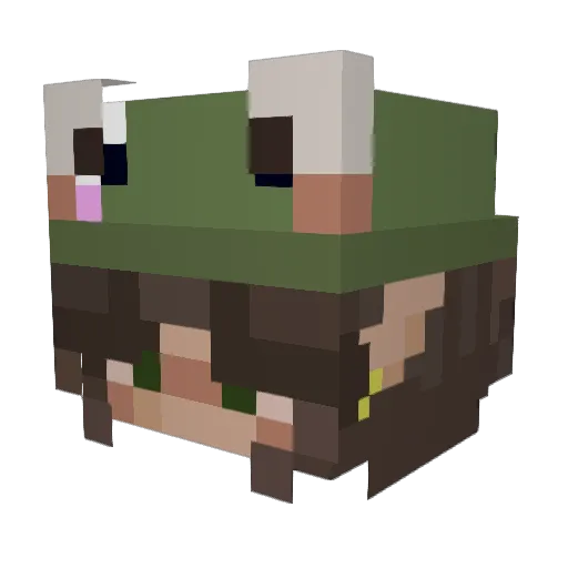 SpiderRi Minecraft avatar head, 3D render