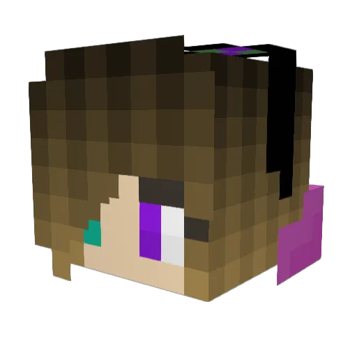 SpiderWonderland Minecraft avatar head, 3D render