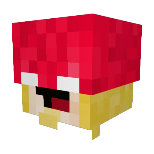 Spider_Hippie Minecraft avatar head, 3D render