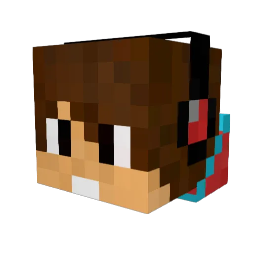 Spiderbot1 Minecraft avatar head, 3D render