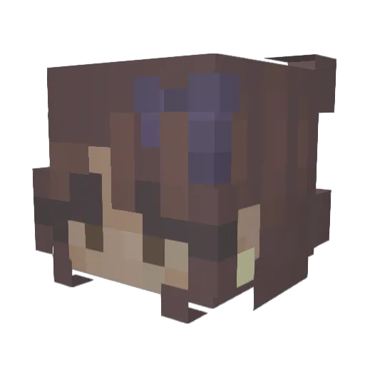 Spiderchew2 Minecraft avatar head, 3D render
