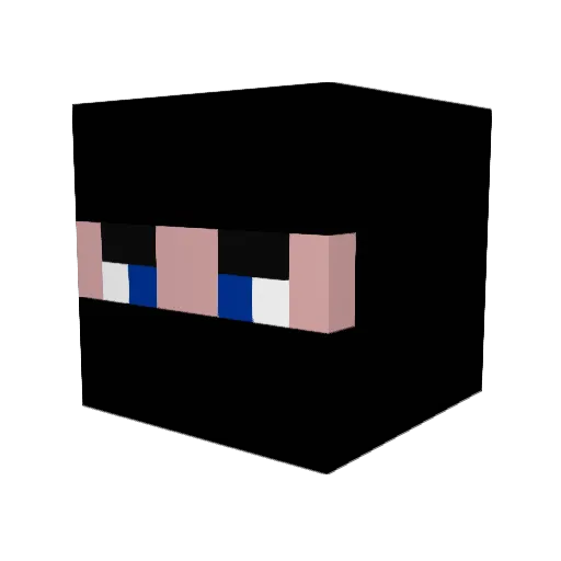 Spiderdawg Minecraft avatar head, 3D render