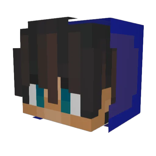 Spiderjax20 Minecraft avatar head, 3D render