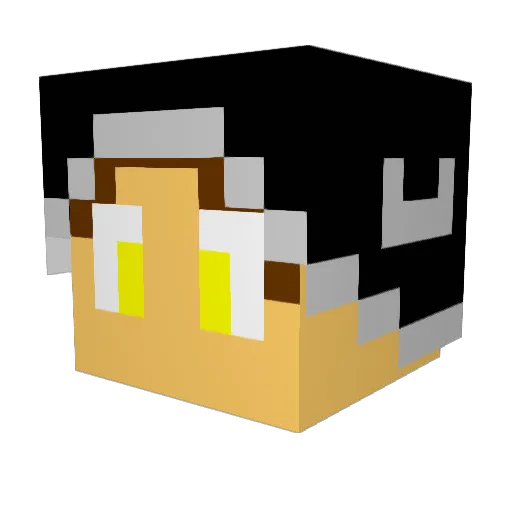 SpidermanRy Minecraft avatar head, 3D render