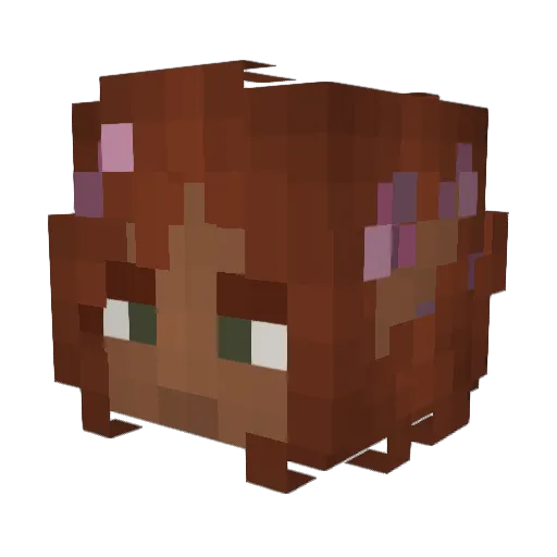 SpiderofTaters Minecraft avatar head, 3D render