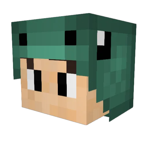 Spiderpig1991 Minecraft avatar head, 3D render