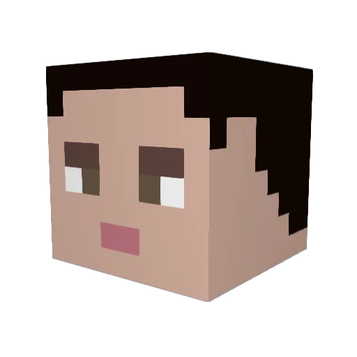 Spiderpig_3000 Minecraft avatar head, 3D render