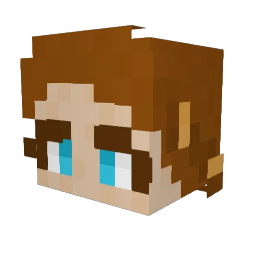 Spidertiger24 Minecraft avatar head, 3D render