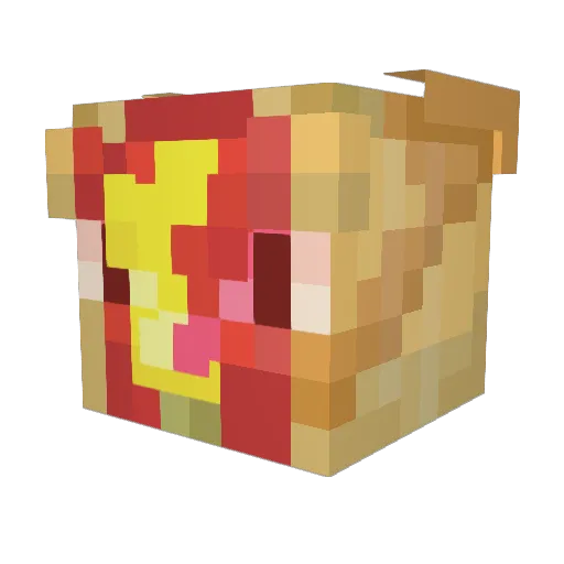 Spidertom98 Minecraft avatar head, 3D render