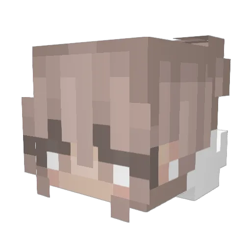 Spiderwebzz Minecraft avatar head, 3D render