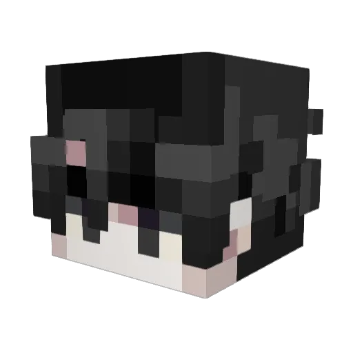 Spiderzender Minecraft avatar head, 3D render
