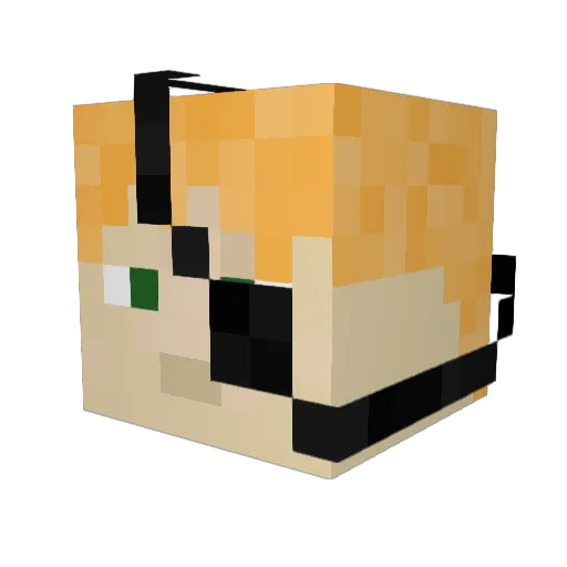 Spidey21 Minecraft avatar head, 3D render