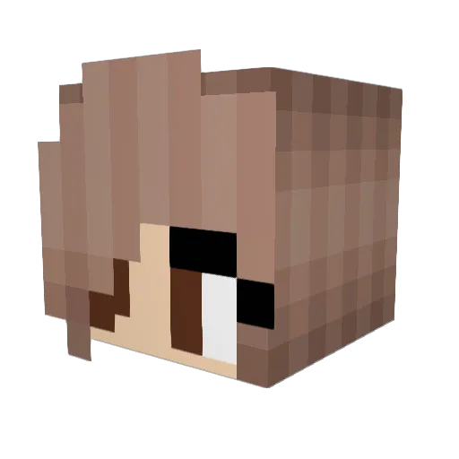 Spidezee Minecraft avatar head, 3D render
