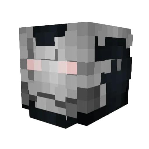 SpidrrsAlt2 Minecraft avatar head, 3D render