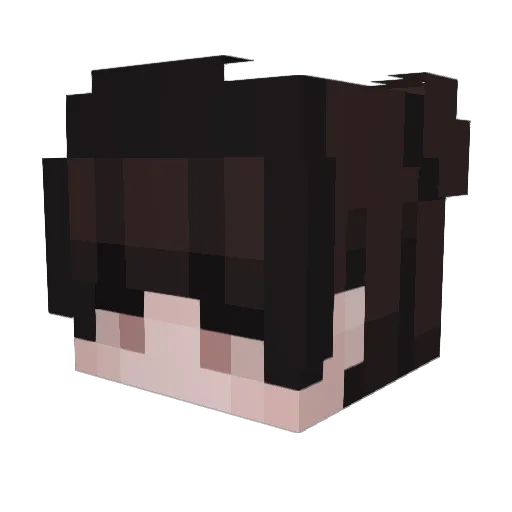 SpieleLP34 Minecraft avatar head, 3D render