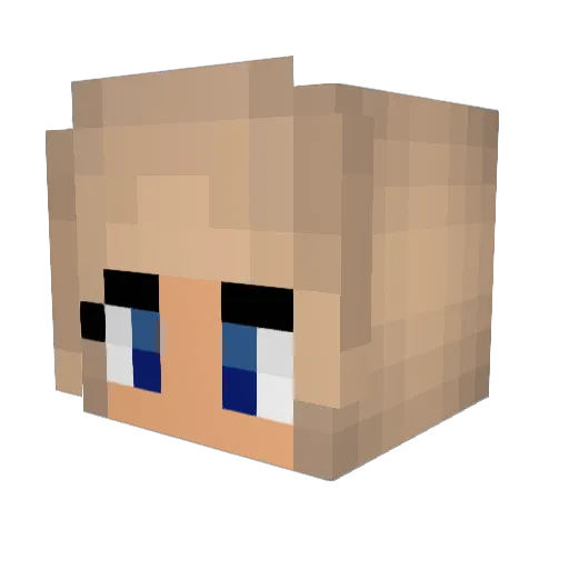 Spielerfrau Minecraft avatar head, 3D render