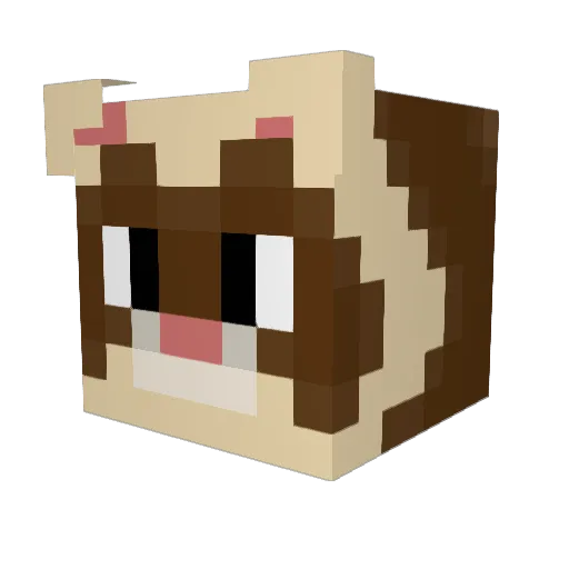 SpiffyHippy22 Minecraft avatar head, 3D render