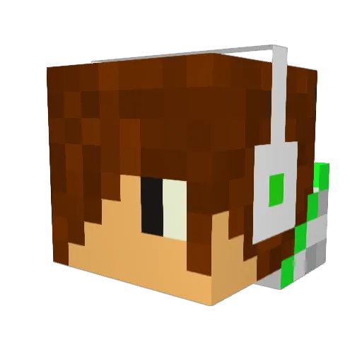 Spigeti Minecraft avatar head, 3D render