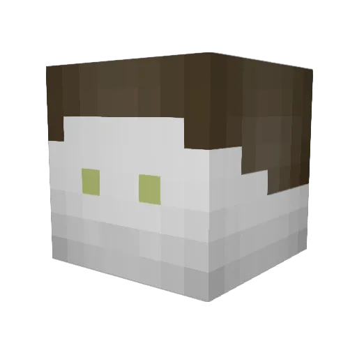 Spijkermans Minecraft avatar head, 3D render