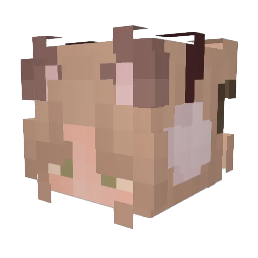 Spikanz Minecraft avatar head, 3D render