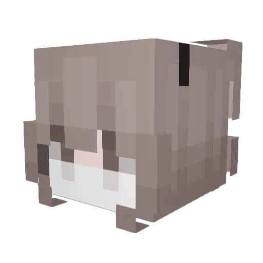 Spile Minecraft avatar head, 3D render
