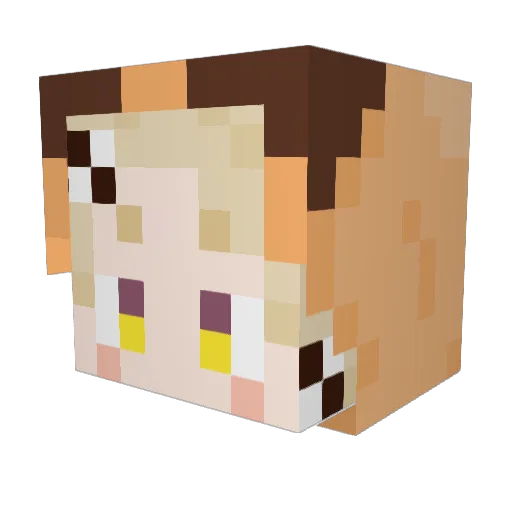 Spillere114514 Minecraft avatar head, 3D render