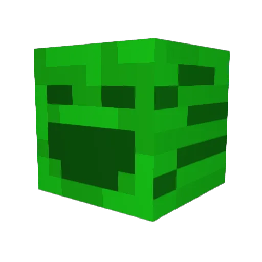 Spilt_Lettuce Minecraft avatar head, 3D render