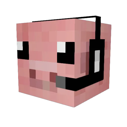SpinFamily Minecraft avatar head, 3D render