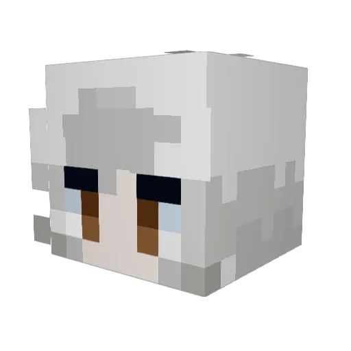 SpindaOwner473 Minecraft avatar head, 3D render