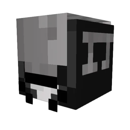 Spinnak Minecraft avatar head, 3D render