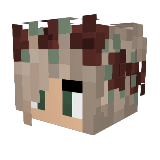 Spinne2003 Minecraft avatar head, 3D render