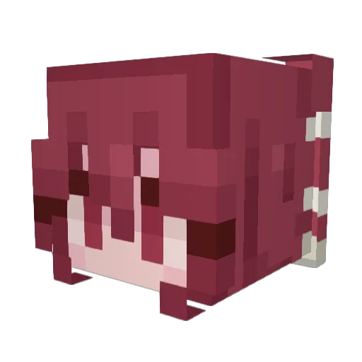 Spinnery Minecraft avatar head, 3D render