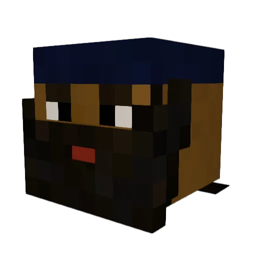 Spinnes2 Minecraft avatar head, 3D render