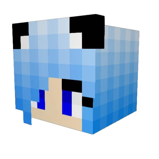 Spinnex105 Minecraft avatar head, 3D render