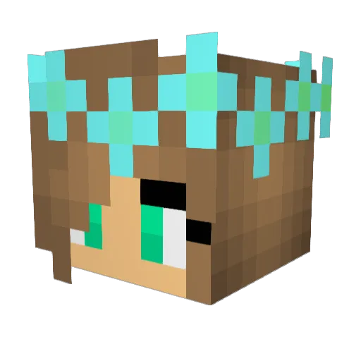 Spinnie02 Minecraft avatar head, 3D render