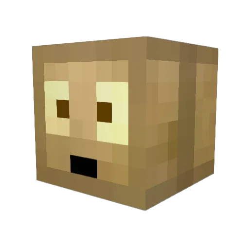 Spinobi4 Minecraft avatar head, 3D render