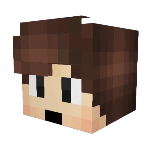 Spinox_ Minecraft avatar head, 3D render