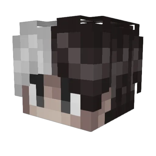 Spinvis Minecraft avatar head, 3D render