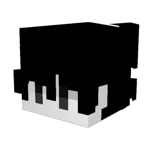 Spiooch Minecraft avatar head, 3D render