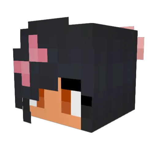 Spirings Minecraft avatar head, 3D render